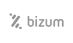 Pago con bizum